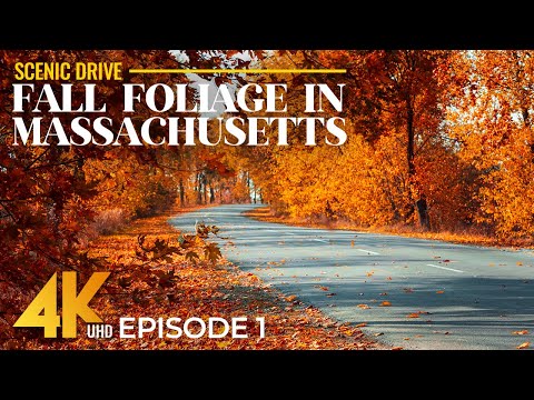 Massachusetts Fall Foliage Drive | 4K Scenic Autumn Road Trip Through New England - Episode 1