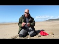 Sea Potato's, beachcombing North Devon