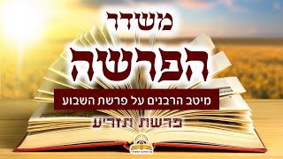 משדר הפרשה פרשת תזריע תשפד - עם מיטב הרבנים והמרצים - שתפו