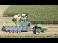 Chopping Corn Silage Near Greensburg Indiana