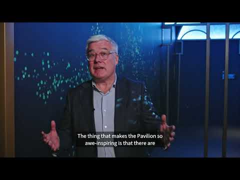 Discover the inspiration behind the Book of Kells Experience