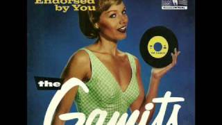 The Gamits-I Don't Want To Play No More.wmv