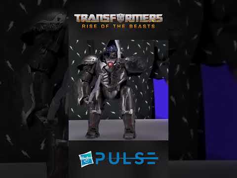 Transformers Rise of the Beasts Command &amp; Convert Optimus Primal #HasbroPulse  #Short