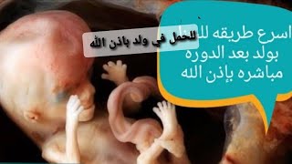 اسرع طريقه للحمل السريع بعد الطهاره من الدوره باذن الله تعالى بتوام ذكور مضمون 100 100 أغاني Mp3 مجانا