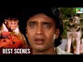 बजरंगी बंदर और बहादुर कुत्ते की Blockbuster प�