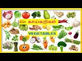 காய் காய்கறிகள் Vegetables In Tamil Vegetables Name In English Tamil Nam