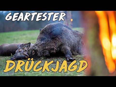 Geartester Driven Hunt 24/25