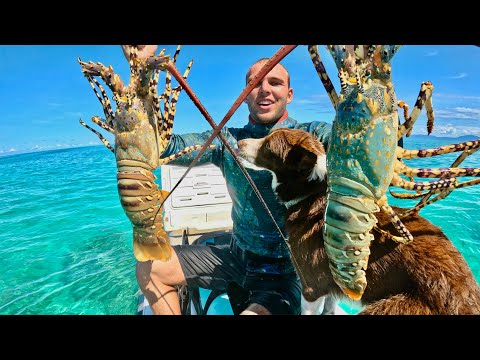 REEF ADDICTS - HUNTING GIANT LOBSTER WITH MY BEST MATE! 🐶 🌊