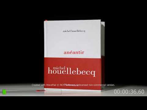 anéantir Michel HOuellebecq
