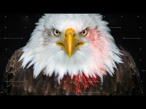 Aale Saachuputta Kannala in 8d sound