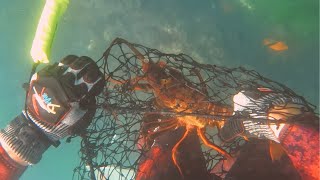 Managing Risks when Shore Diving