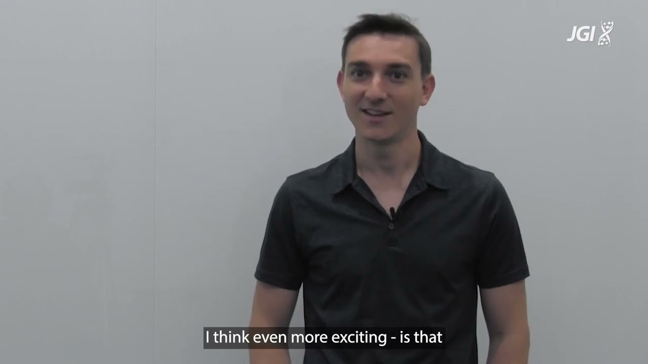 Large bacterium challenges view of bacterial cell size