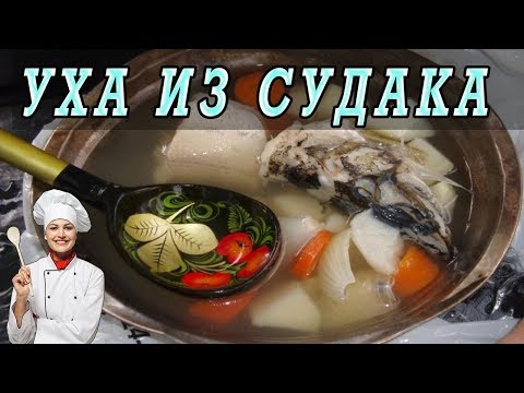 Уха из судака. Как приготовить уху из судака. РЕЦЕПТ УХИ.