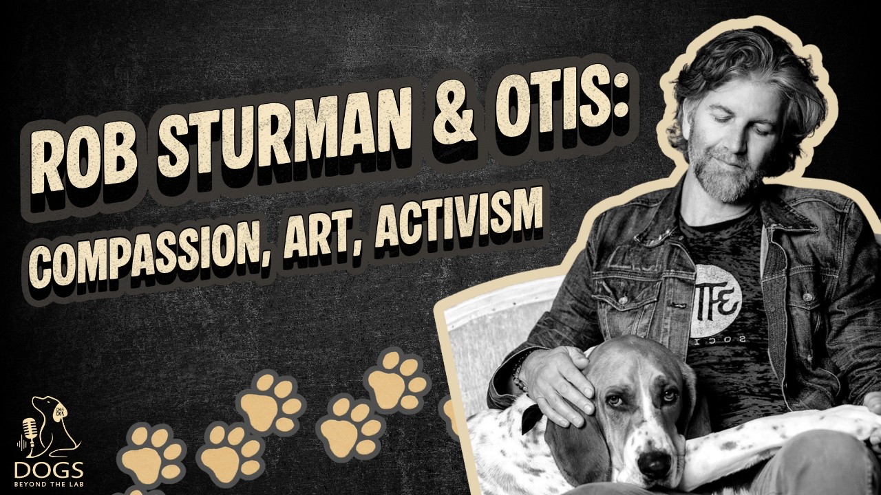Rob Sturman & Otis: Compassion, Art, Activism
