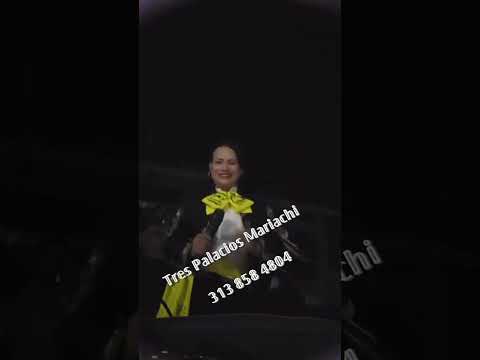 mariachis cucuta norte de Santander Colombia