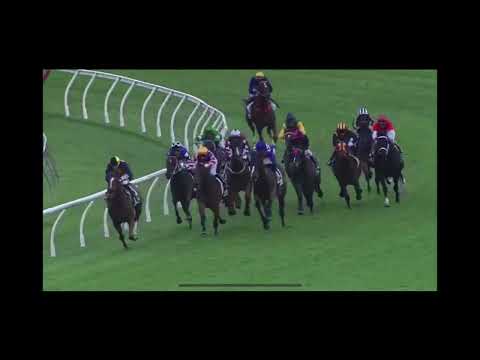 Rest In Paradise Naboo Attack 💙🕊