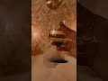 Pink and Gold Bathtub tiktok arianna danielson