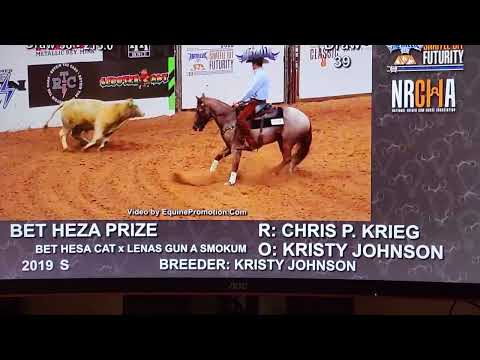 Bet Heza Prize NRCHA 2022 snaffle bit futurity fence work.  Ridden by Chris Krieg