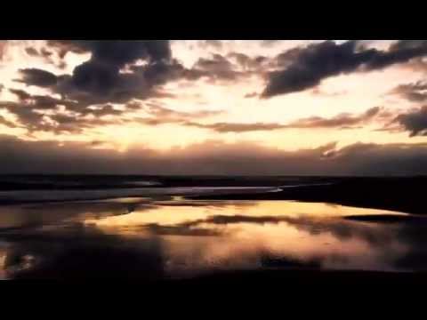 midnight swims are trippy. ramzie shams