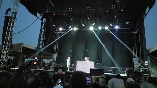 Mike D of the Beastie Boys live at Riot Fest 2017 - So Watcha Want and Intergalactic