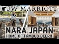PERFECT SCORE: JW Marriott Nara, Japan【Tour & Review】Top LUXURY Hotel Near Famous Deer