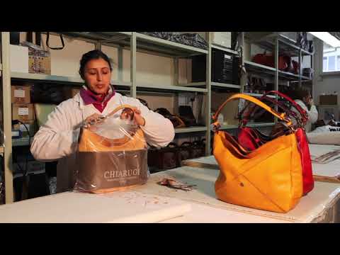 Chiarugi Istituzionale