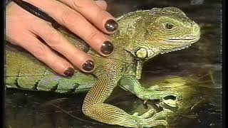 Richard O&#39;Brien on Bad Girls of Sci Fi