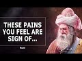 Rumi - Quotes on Love, Life, Nature & the Universe | Life-Changing Quotes