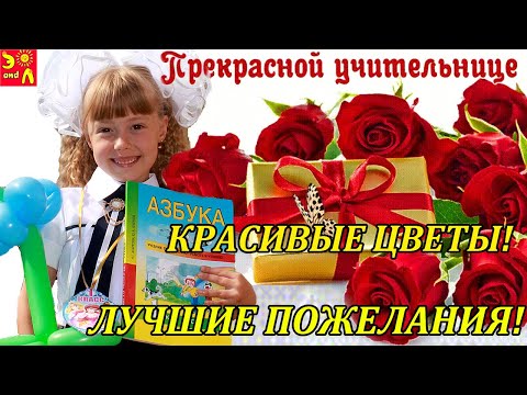 С ДНЕМ УЧИТЕЛЯ! КРАСИВОЕ ПОЗДРАВЛЕНИЕ! День учителя! Дорогому учителю лучшее поздравление! 5 октября