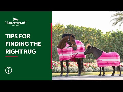 Education - Tips to Find the Right Rug: Fit, Comfort & Performance