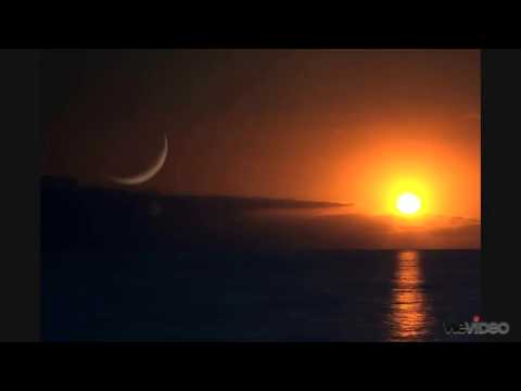 Porter Robinson // Above and Beyond - Sun and Moon Language (Kane Michael Smashup)