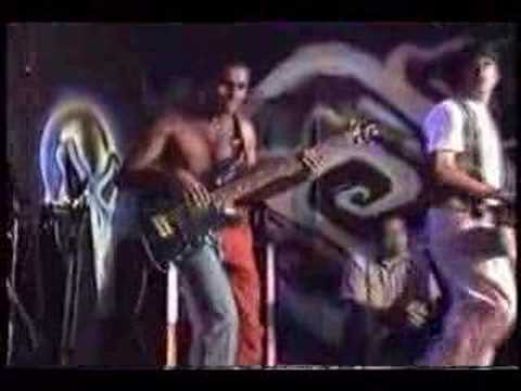Dog House video