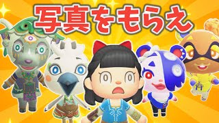 【終われません】新住民、ミネル、チューリ、みさき、なぎさの写真を集めるぞ【あつ森ゆっくり実況】