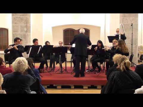 TRIESTE FLUTE ENSEMBLE - V. Bellini: "Norma" Overture