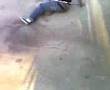 Midgets Circus Act
