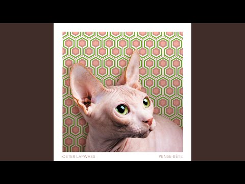 Confortable (feat. Anton Serra)