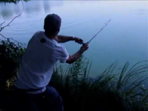 Воблеры Nories Bihadou