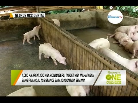 One Western Visayas: 4K ka Apektado nga Hog Raisers, Target nga Mahatagan sang Financial Assistance