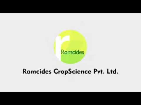 RAMCIDES THEME 250 GRAMS  Acetamiprid 20% SP Systemic Insecticide