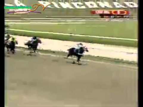 LA RINCONADA 8 CARRERA, DOMINGO 19 DE OCTUBRE DEL 2014