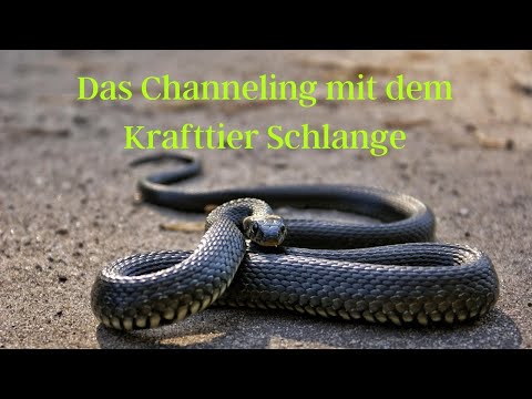 Krafttier Channeling Schlange