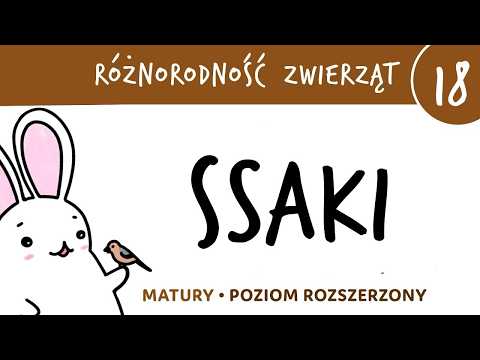 Animal Diversity 18 🐸 Mammals - biology for final exams, zoology, advanced biology