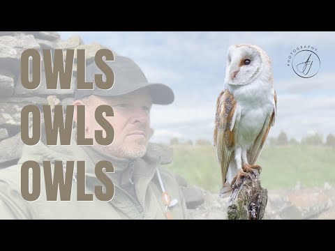 Photographing ALL 5 UK OWL species in 48 Hours? || Peak District || Sony A1 || 4K