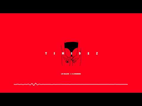 Lui Gallego -Timidez ( Audio )