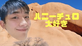 ミスドのハニーチュロを食べる動画