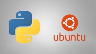 How to Install Python 2.7 and Python 3 on Ubuntu 18.04 (WSL) with 2 Commands Only