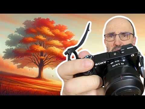 Tipps und Ideen für das FOTOGRAFIEREN im HERBST 🍁🍂