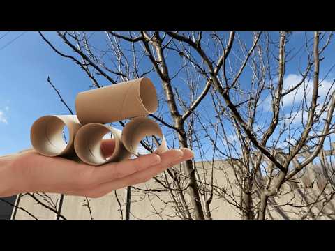 Bestreiche SOFORT mit Erdnussbutter... Kein Scherz