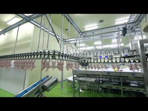 download lagu mp3 mp4 Chicken Rendering, download lagu Chicken Rendering gratis, unduh video klip Chicken Rendering