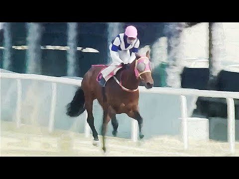 7/26-(토)-손석볌-승부45배/메인5.2배/끝판12.6배[가야할마필]또,복병으로/중배당+다적중까지..!!